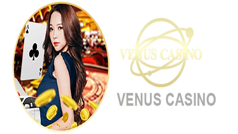 4PLAY BET Informações básicas sobre o saguão do cassino Venus